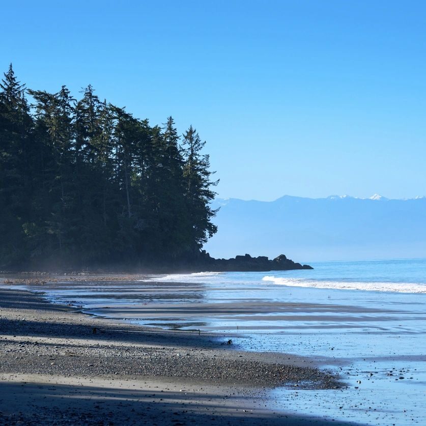 Calm coastal beach with trees and distant mountains under a clear blue sky.