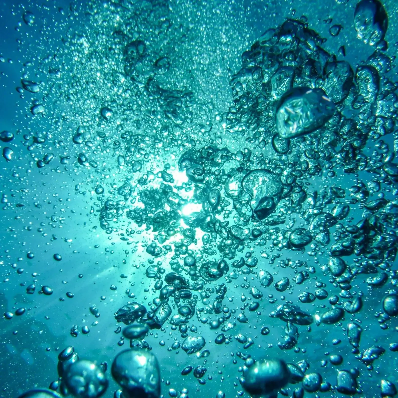 Underwater bubbles rising toward the sunlit surface.